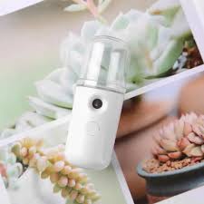 Facial Mister Handy Mini Facial Steamer Skin Care Steamer Handy Moisturizing Mist Spray